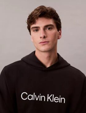 Sudadera con capucha de felpa con logotipo estándar