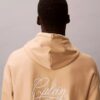 Sudadera con capucha de felpa premium con gráfico del logotipo Matchbox