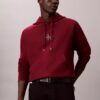 Sudadera con capucha de felpa premium Monologo