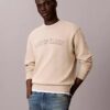 Sudadera de felpa con gráfico del logotipo Varsity