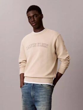 Sudadera de felpa con gráfico del logotipo Varsity