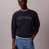 Sudadera de felpa con gráfico del logotipo Varsity