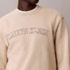 Sudadera de felpa con gráfico del logotipo Varsity