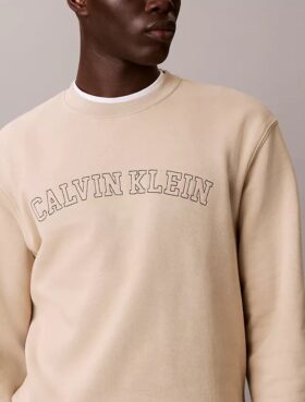 Sudadera de felpa con gráfico del logotipo Varsity