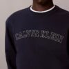 Sudadera de felpa con gráfico del logotipo Varsity