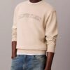 Sudadera de felpa con gráfico del logotipo Varsity